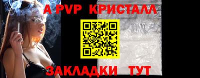 спайс Гай