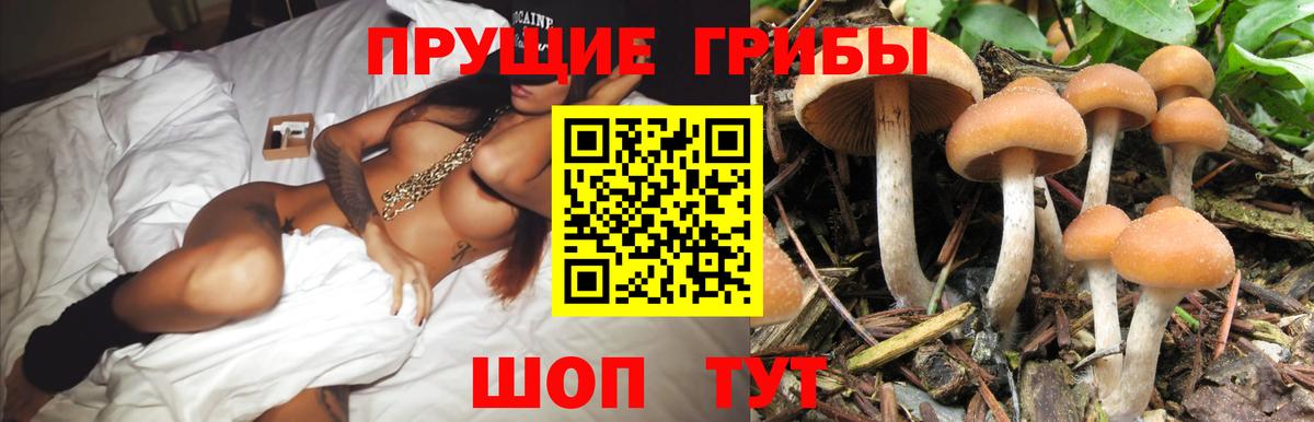 Москва  Галлюциногенные грибы мухоморы  закладка  Вход с VPN 